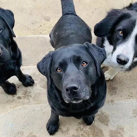 Casa de Férias Kellerstoeckl Am Veganen Bio-lebenshof 