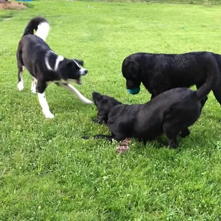 Kellerstoeckl Am Veganen Bio-lebenshof 