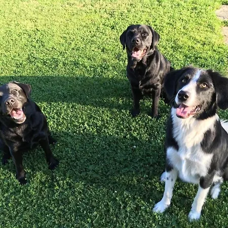 Kellerstoeckl Am Veganen Bio-lebenshof 