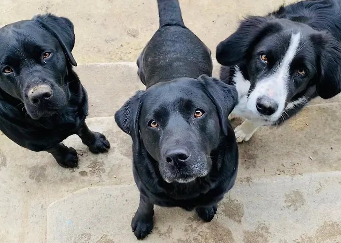 Dom wakacyjny Kellerstoeckl Am Veganen Bio-lebenshof 