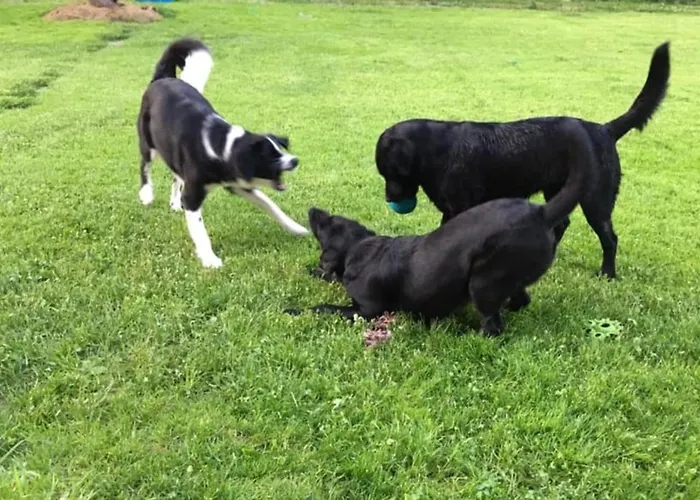 Kellerstoeckl Am Veganen Bio-lebenshof 